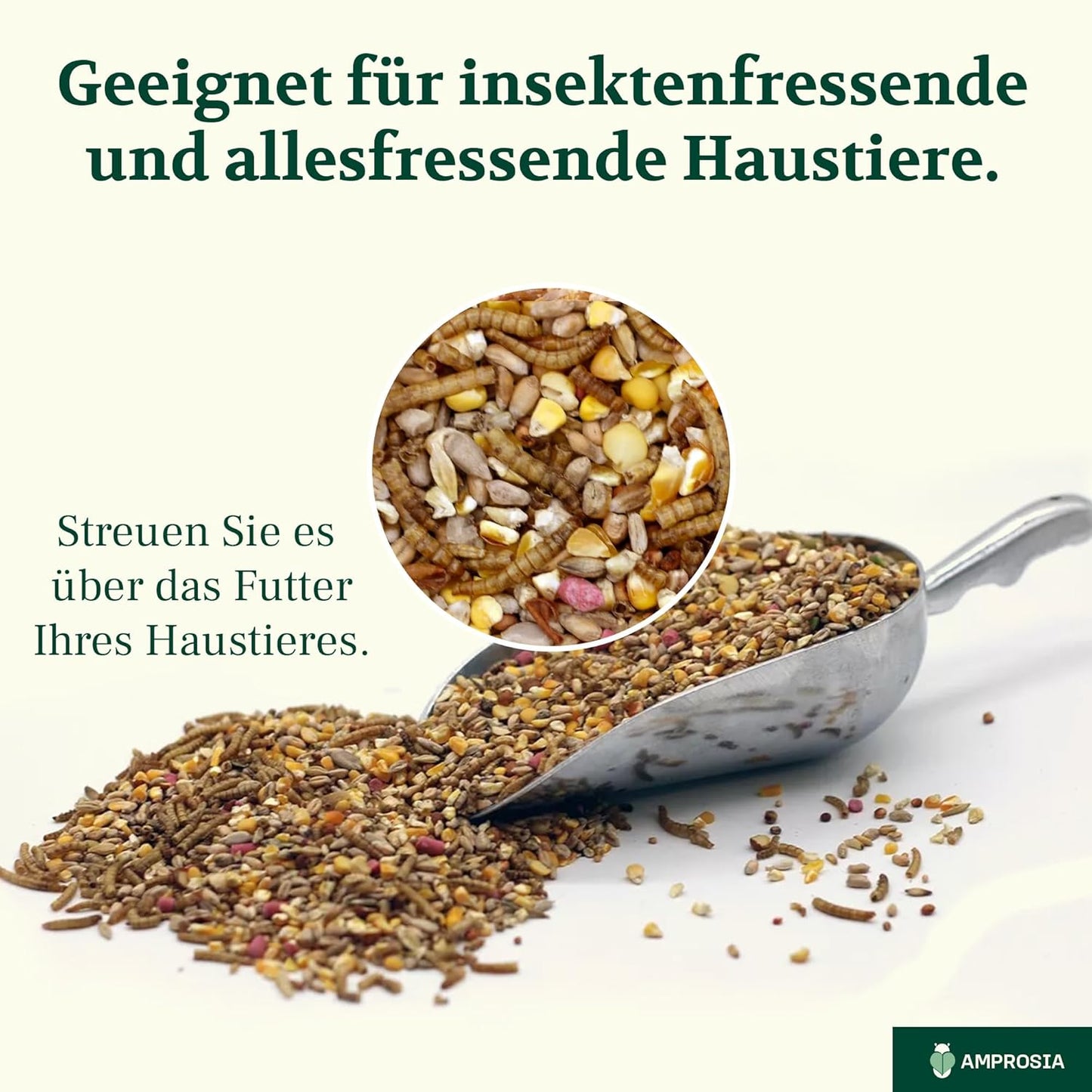Amprosia™ Mehlwürmer
